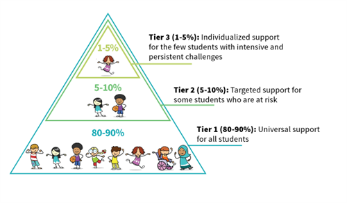 Tier 2 and Tier 3 Support