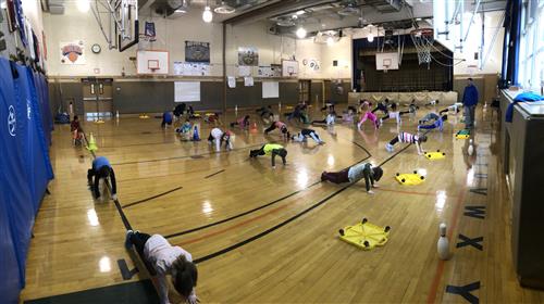 Plank 
