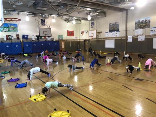 Plank 