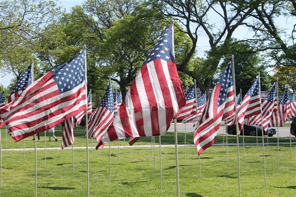 Field of Flags