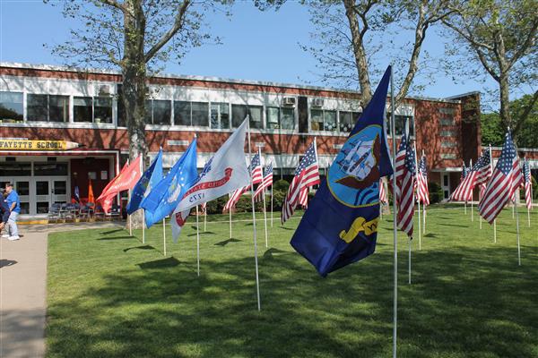 Field of Flags